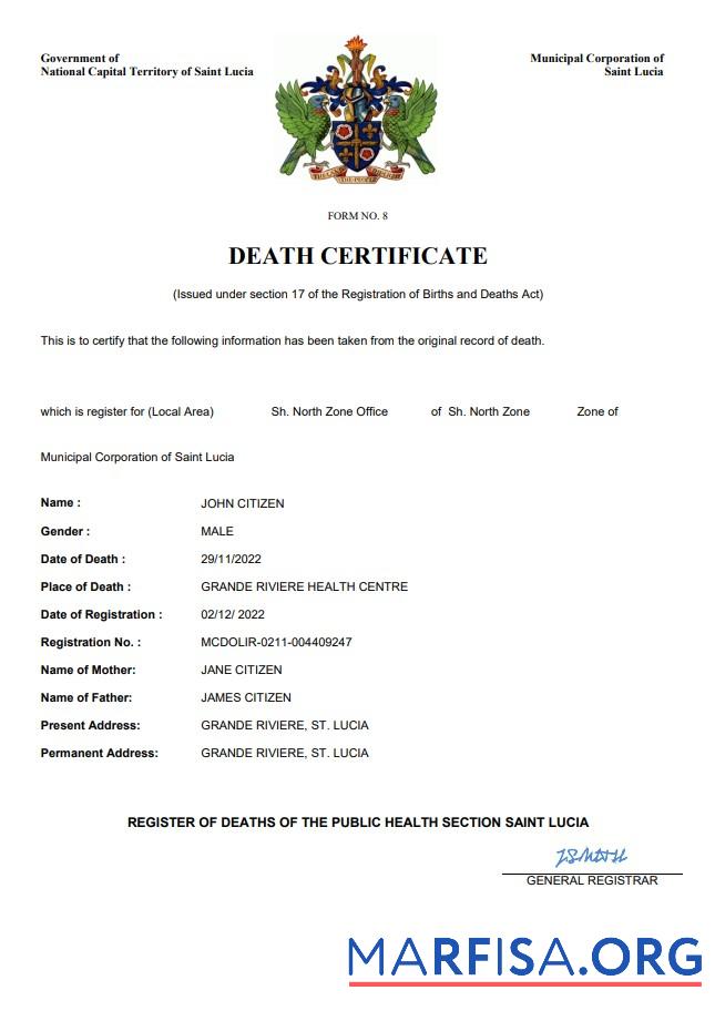 Blank Saint Lucia death certificate Word and PDF template